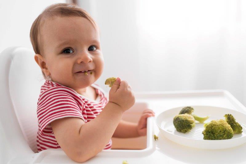 Introduction to Solid Foods: A Comprehensive Guide for Crawling Babies and Their Parents